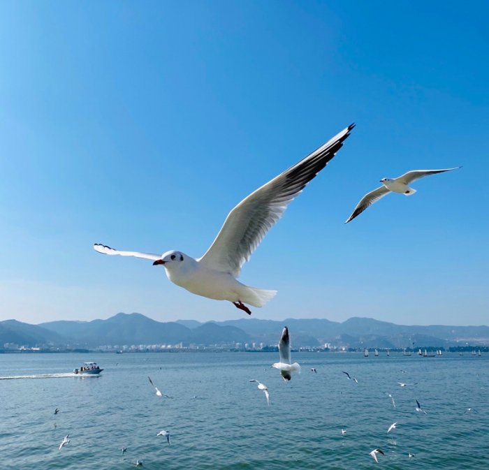 雲南自由行攻略(图7)