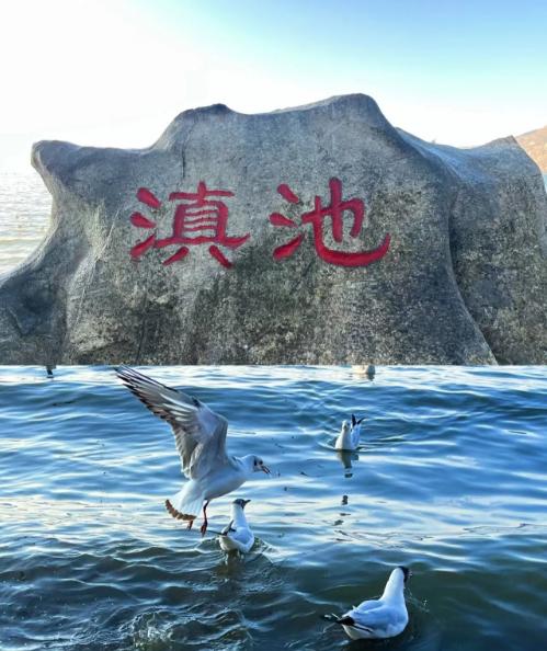 雲南自由行攻略(图8)